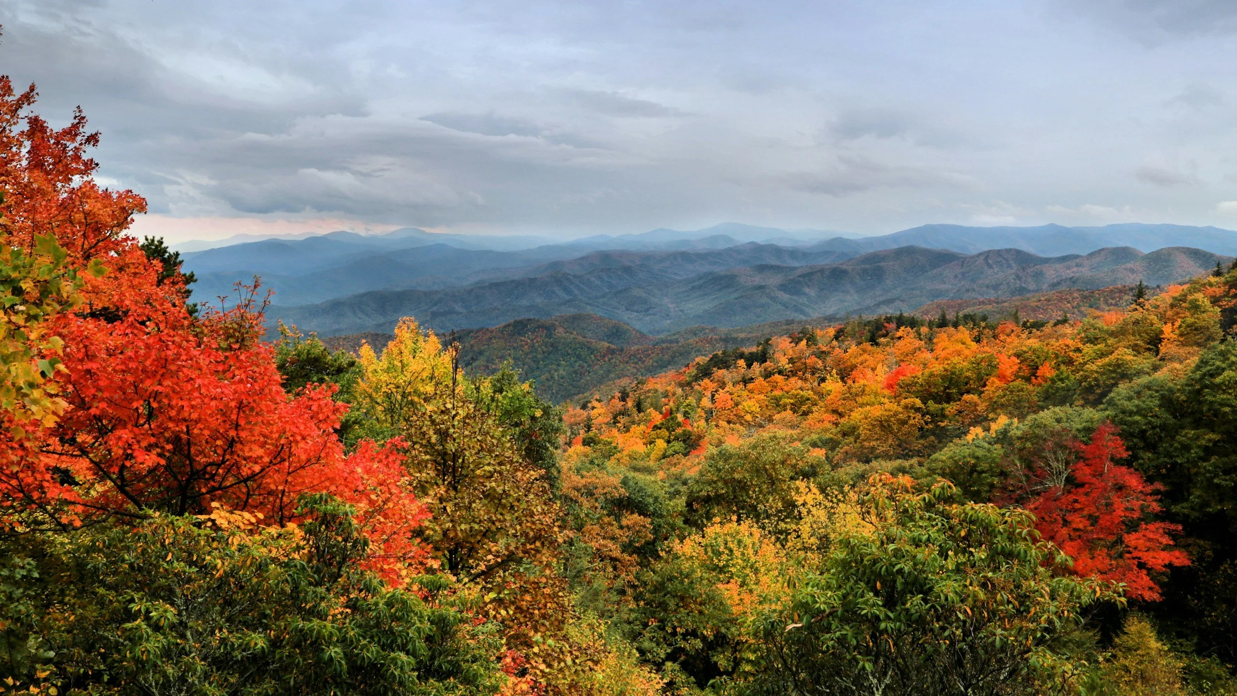 Blue Ridge Mountains autumn landscape near Asheville NC